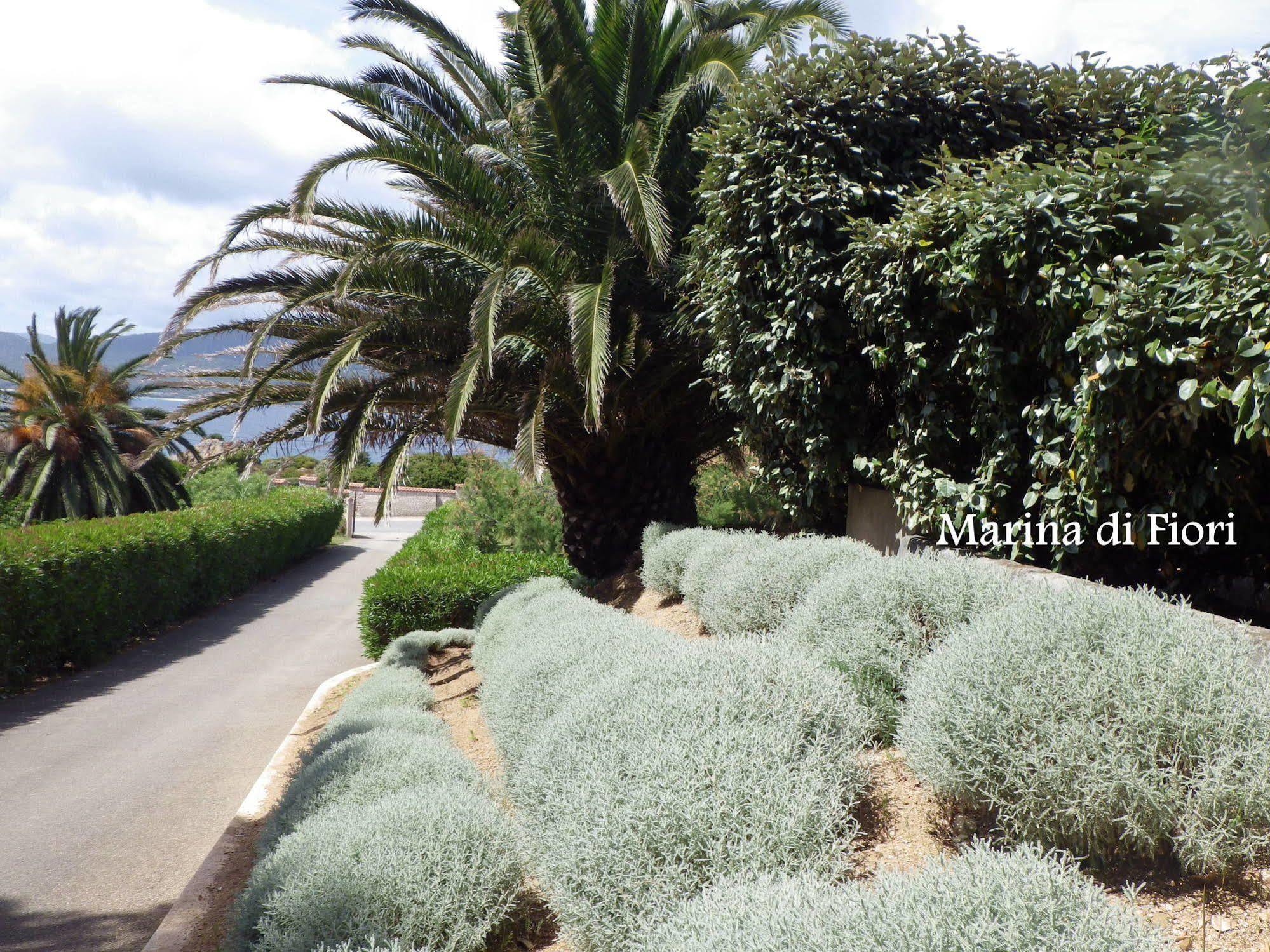 شقة Marina Di Fiori بروبرِيانّو المظهر الخارجي الصورة
